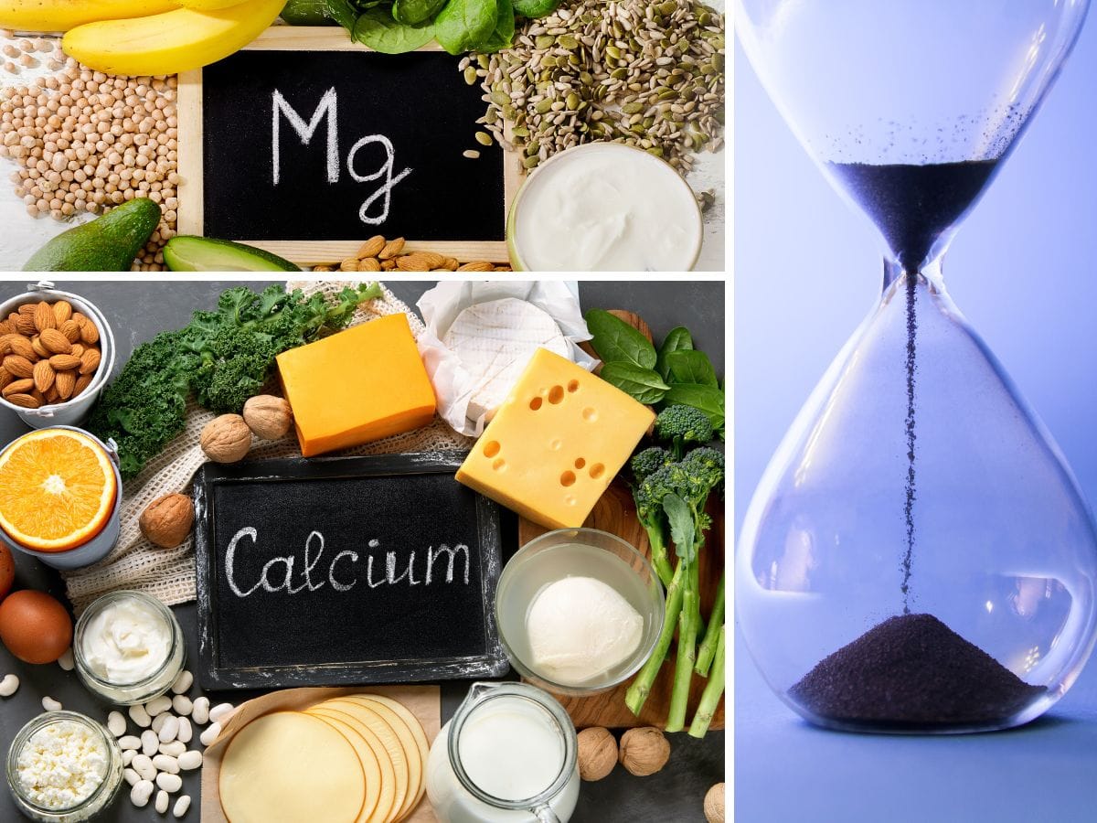The Science of Timing When Should You Take Calcium Magnesium?